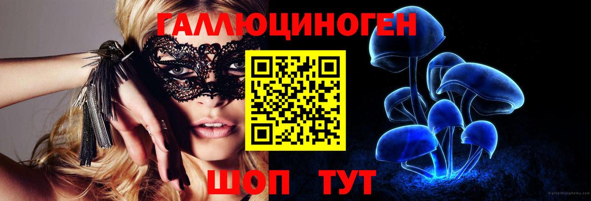 Назарово  Псилоцибиновые грибы Psilocybine cubensis  Вход с VPN 